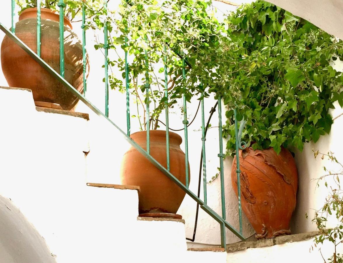 Villa Casa Del Patio Arabe Casas Vejer Debra Vejer de la Frontera Exterior foto